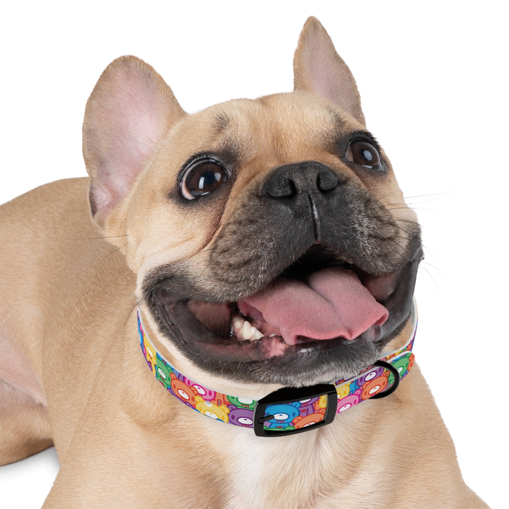 Gloomy Bear "Rainbow Dreams" Dog Collar